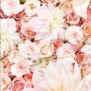 Meet your Posher, Whitney